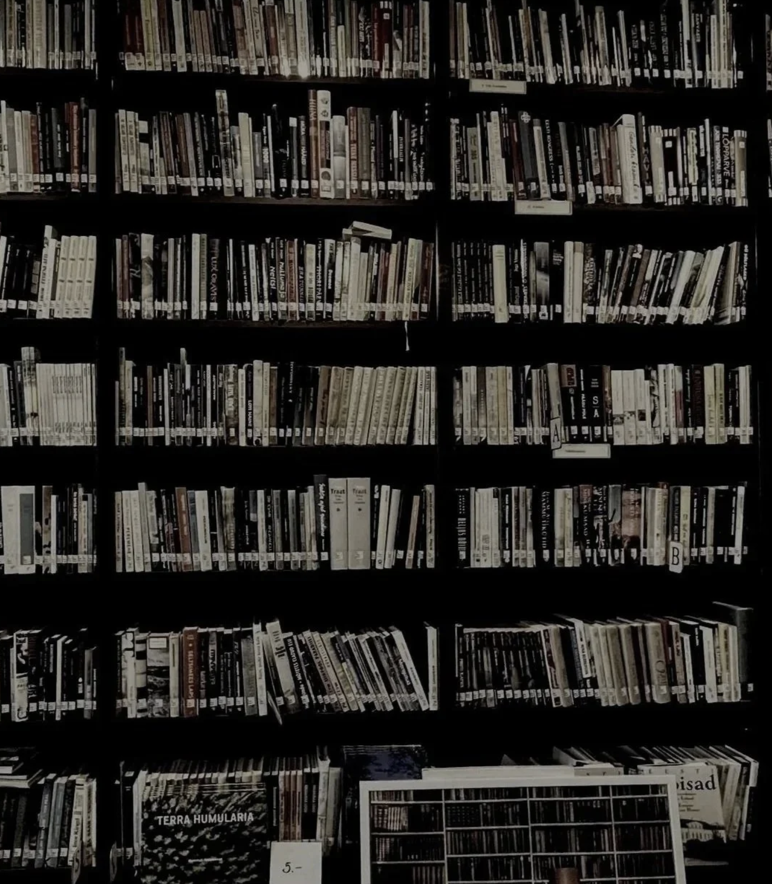 Libreria con scaffali pieni di libri